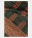 Green Tussar Printed Saree T2542241