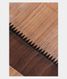 Beige Handwoven Tussar Saree T2604011