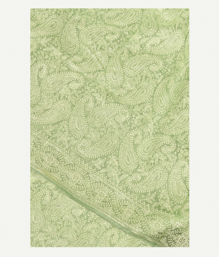 Light Green Kora Organza Embroidery Saree T240682-image