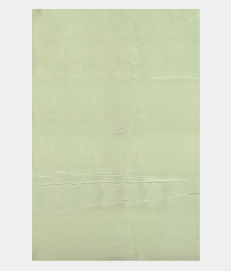 Light Green Kora Organza Embroidery Saree T2406823