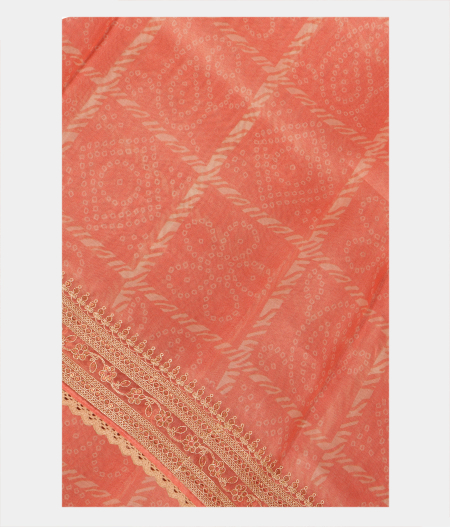 Salmon Pink Kora Organza Printed Saree T256767-image