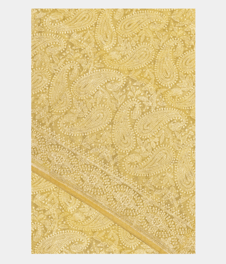 Yellow Kora Organza Embroidery Saree T240680-image