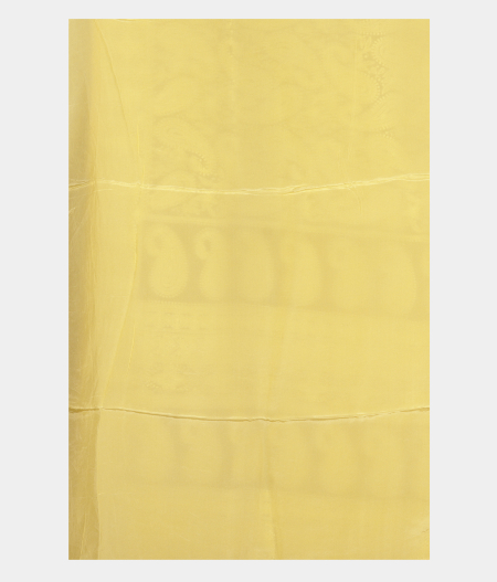 Yellow Kora Organza Embroidery Saree T2406803