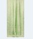 Light Green  Kora Organza Embroidery Saree T2406822