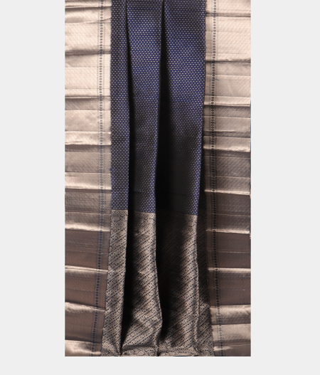 Blue Handwoven Kanjivaram Silk Saree T2619842