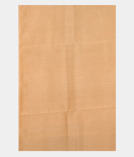 Beige Kora Organza Embroidery Saree T2618343