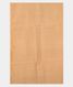 Beige Kora Organza Embroidery Saree T2618343