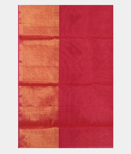 Beige  Pochampalli Silk Cotton Saree T2627423