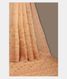 Beige Kora Organza Embroidery Saree T2618341