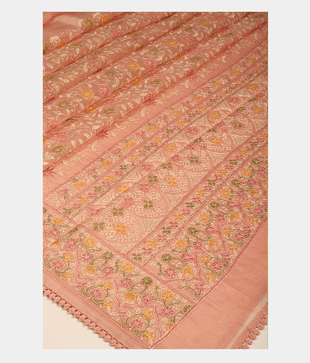 Light Pink Kora Organza Embroidery Saree T2618352