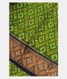  Green Pochampalli Silk Cotton Saree T2627491