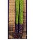  Green Pochampalli Silk Cotton Saree T2627492