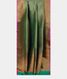 Bluish Green Banaras Silk Saree T2541222