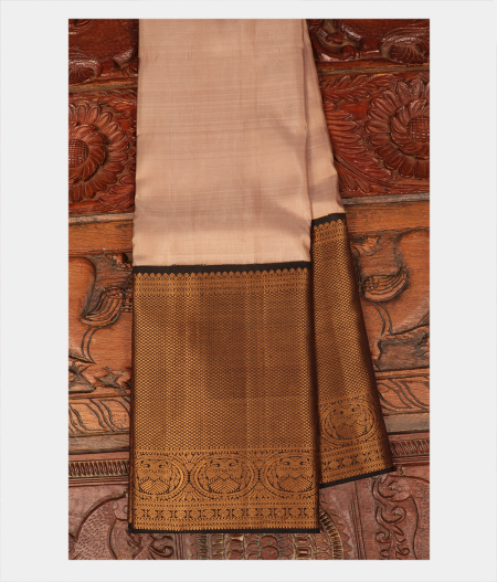 Beige Handwoven Kanjivaram Silk Saree T256729-image