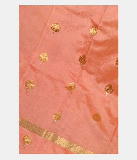 Light Pink Banaras Tissue Silk Saree T193279-image