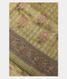 Light Green Kora Organza Embroidery Saree T2671391