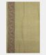 Light Green Kora Organza Embroidery Saree T2671393