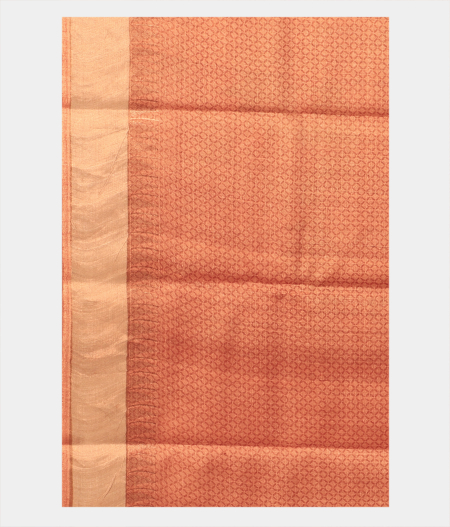 Beige Tussar Printed Saree T2703193