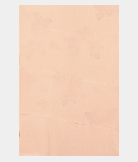 Light Pink Kora Organza Printed Saree T2699653