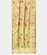 Light Green Kora Organza Printed Saree T2699692