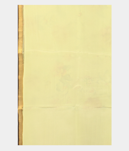 Light Green Kora Organza Printed Saree T2699693