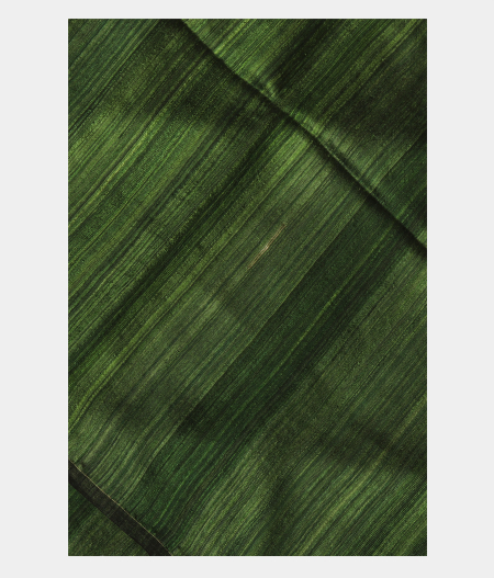 Green Handwoven Tussar Saree T267579-image