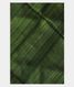 Green Handwoven Tussar Saree T2675791