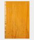 yellow-linen-embroidery-saree-t269922-t269922-c