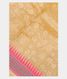Beige Vidarbha Tussar Saree T2503421