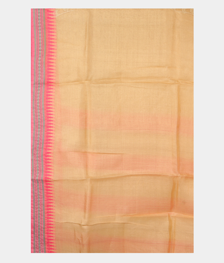Beige Vidarbha Tussar Saree T2503423