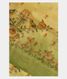 Yellowish Green Kora Organza Printed Saree T2653951