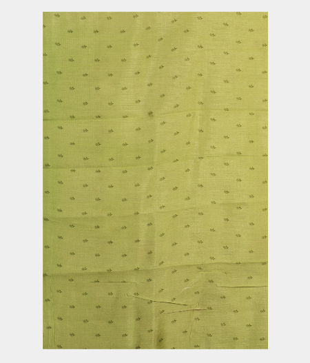 Yellowish Green Kora Organza Printed Saree T2653953