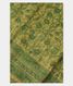 Light Green Tussar Printed Saree T2727931