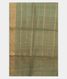 Greenish Grey Tussar Printed Saree T2747123