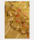 Green Chaniya Silk Saree T2744761