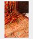Red Tussar Printed Saree T2746731