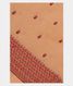 beige-tussar-embroidery-saree-nk4076-nk4076-a