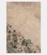Off-White Kora Organza Embroidery Saree  T2524911