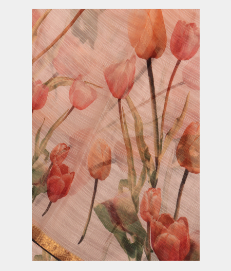 Light Pink Kora Organza Printed Saree T269964-image