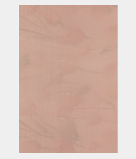 Light Pink Kora Organza Printed Saree T2699643