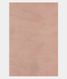 Light Pink Kora Organza Printed Saree T2699643