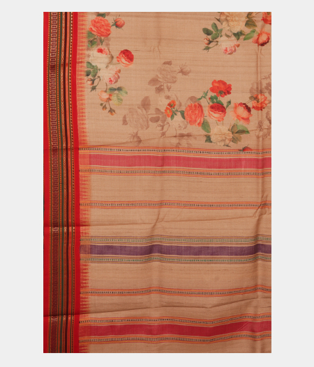 Beige Vidarbha Tussar Saree T2686144