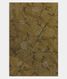 olive-green-tussar-embroidery-saree-t269203-t269203-a