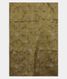 olive-green-tussar-embroidery-saree-t269203-t269203-d