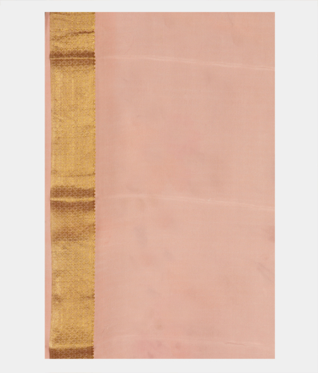 Light Blue Printed Mysore Silk Saree T2790583