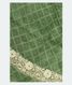 Light Green Kora Organza Printed SareeT2776821