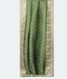 Light Green Kora Organza Printed SareeT2776822