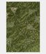 Green Bandhani Patola Silk Saree T2834845