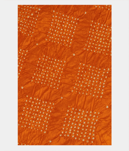 Yellow Bandhani Patola Silk Saree T2834855