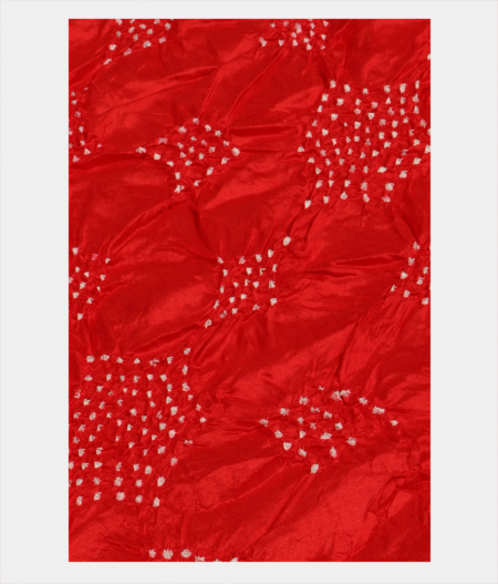 Red Bandhani Patola Silk Saree T2834865